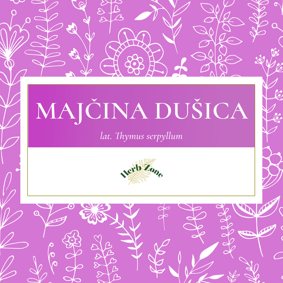 Čaj - Majčina dušica