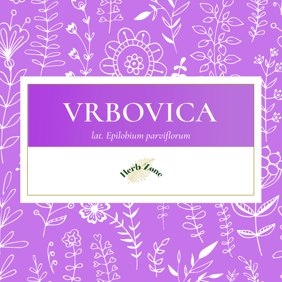 Čaj - Vrbovica